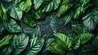 © Рудой Максим - Lush Green Leaves Creating Natural Texture in a Calm, Serene Setting