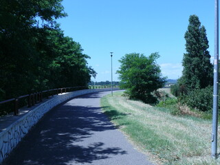 path in the park