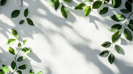 Poster - Leaves dance gently in the sunlight, creating intricate shadows on a textured white surface, showcasing the beauty of nature in an artistic arrangement