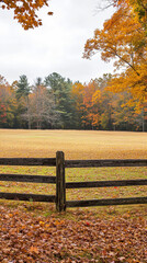 Canvas Print - Tranquil Autumn Meadow with Vibrant Fall Foliage  