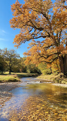 Poster - Tranquil Autumn Landscape with Oak Trees and Flowing Creek  