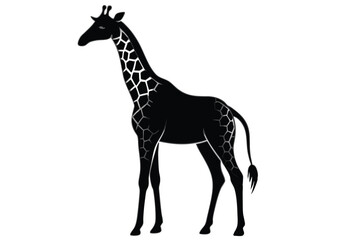 giraffe Silhouette on White Background 