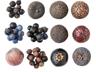 Wall Mural - Black and Blue Berries with Transparent Background, Colorful Fruit, Natural Textures, Close-up Image, Isolated Objects,  Botanical Photography