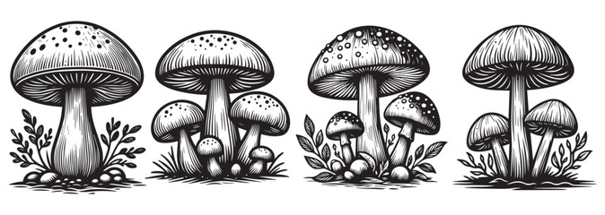 Unique Black and White Mushroom Vector Art Collection. Isolated Mushroom Illustrations on White Background