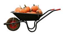 Pumpkins In A Wheelbarrow Free Stock Photo - Public Domain Pictures