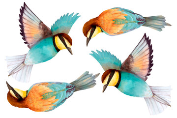 Wall Mural - Bee eater bird sticker png illustration set