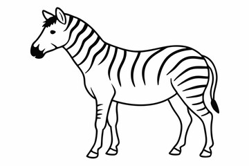 Poster - 
zebra line art vector, zebra icon, zebra croosing outline vector illustration

