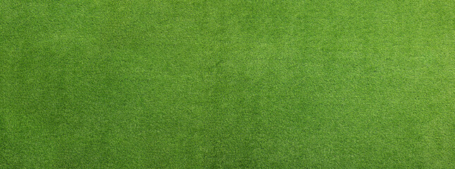 green artificial grass as background, banner design