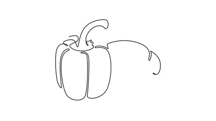 Wall Mural - Animated self drawing of continuous line draw of whole healthy freshness organic bell pepper for farming and cooking logo identity. Fresh paprika concept vegetable icon. Full length one line animation