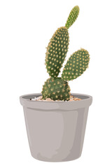 Poster - Cactus plant PNG sticker transparent background