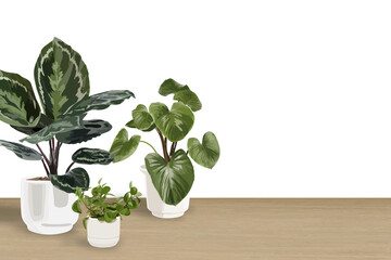 Poster - Houseplant PNG background transparent wall