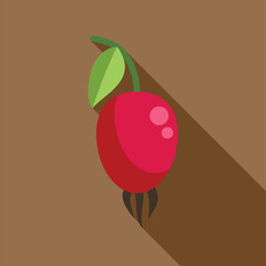 Poster - Red berry with leaf hanging down from branch flat design icon with long shadow on brown background