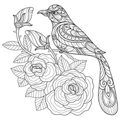 Wall Mural - Little bird and rose hand drawn for adult coloring book