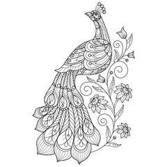 Wall Mural - Peacock and ivy leaf hand drawn for adult coloring book