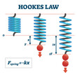 © VectorMine - Hookes law illustration, transparent background. Physics extend and compress spring force explanation scheme. Mathematical experiment with weight equation and elastic deformed spring.