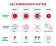 © VectorMine - ABO blood group types illustration, transparent background. Educational labeled nursing information chart. Red blood cell, antibodies in plasma and antigens combination diagram.