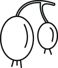 Poster - Simple line drawing of two gooseberries hanging from a branch, perfect for representing summer, fruit, or healthy eating