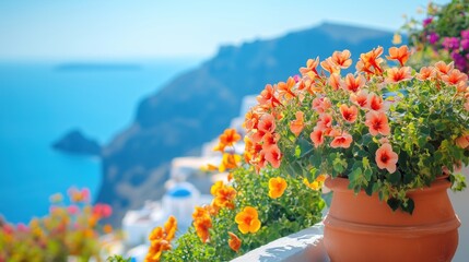 Beautiful landscape of Santorini with blue sky and flowers