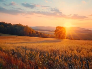 Canvas Print - Autumn Golden Sunset Over Picturesque Rural Landscape with Warm Tones and Serene Countryside Scenery