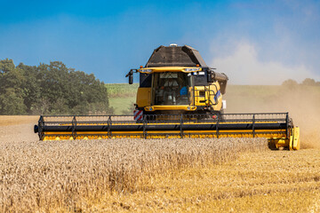 Combine harvester at the grain harvest in the field - 8392