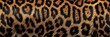 © Andrii Zastrozhnov - A close up of a leopard print fabric. The pattern is very detailed and the colors are rich and bold. Concept of luxury and sophistication, as well as a connection to the wild and untamed
