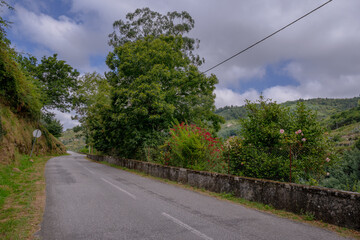 Wall Mural - Avô