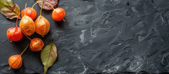Poster - Free copy space image of Physalis Winter cherry on a sleek black stone table viewed from above
