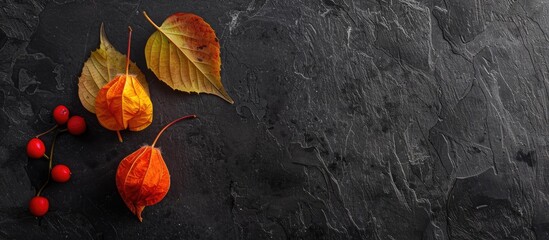 Poster - Free copy space image of Physalis Winter cherry on a sleek black stone table viewed from above
