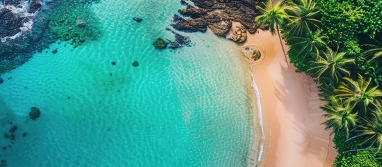Poster - Scenic tropical beach with clear turquoise waters palm trees and an aerial view captured by a drone showcasing a stunning landscape with copy space image