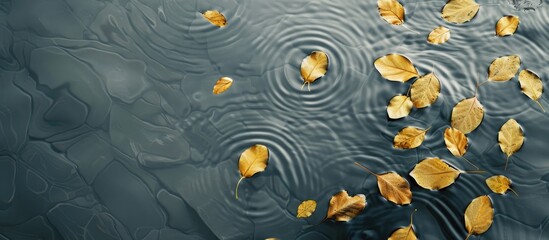 Aufkleber - Shadowy paths guide across the gray water surface adorned with golden bodhi leaves in a tranquil setting with copy space image