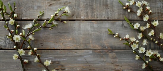 Poster - A picture of blooming willow branches against a wooden backdrop provides ample copy space image