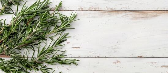 Poster - Flat lay of dry and fresh rosemary on a white wooden table with copy space image for text placement
