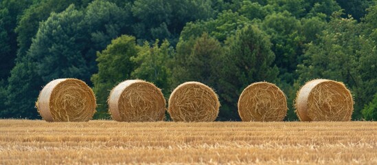 Aufkleber - Field with six circular straw bales perfect for a copy space image