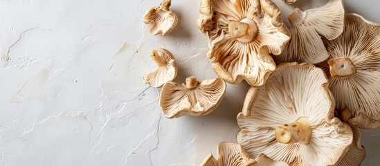 Poster - Mushrooms dried out displayed on a white backdrop providing copy space image