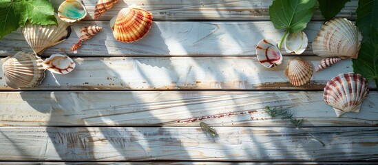 Poster - Wooden boards background with horizontal lines colorful sea shells sunglasses plant branch on the right side and copy space image available