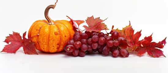 Aufkleber - Isolated on a white backdrop a vibrant composition of a pumpkin and red grape leaves creates an elegant copy space image