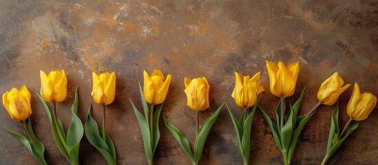 Wall Mural - Yellow tulips arranged on a rustic brown backdrop with copy space image