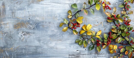 Fototapete - Hawthorn leaves in yellow red and green hues set against an aged gray wooden surface with copy space image