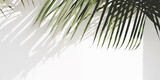 Białe gładkie tło pod baner, grafikę z napisami. Zielone rośliny, gałązki palmy i liście kwiatów. Widok z góry