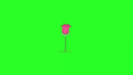 Poster - red rose flower looped animation