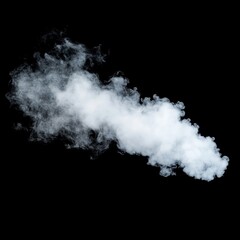 Wall Mural - Smoke on a black background, curling smoke. Smoke similar to a head of an animal, magic smoke. Abstract background, design element for superimposing on images.