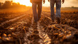 © Synthesia Studio - Banner with Farmers walking on a muddy field during sunset