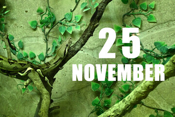 Calendar date on light green background with snake crawling on tree branch. November 25 is the twenty-fifth  day of the month