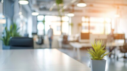 Poster - A plant sits on a table in a room with a lot of natural light