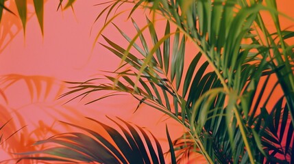 Poster - A leafy green plant with a pink background