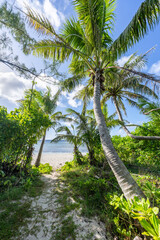 Wall Mural - path to the beach, guam, micronesia, us territory