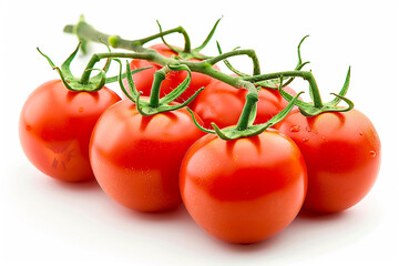 photo of fresh tomatoes on the vine isolated on a white background