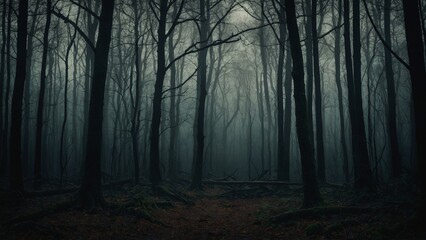 Gloomy spooky forest trees landscape with dark foggy light