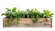 © PNG Kingdom  - Wooden planter box with plants on transparent background