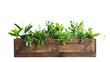 © PNG Kingdom  - Wooden planter box with plants on transparent background